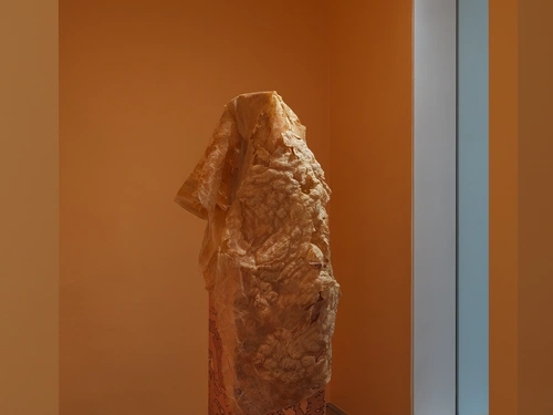 Tracy Naa Koshie Thompson, Svetovi znotraj svetov: Terra incognita. Postavitev razstave, Grad Tivoli, 2026.