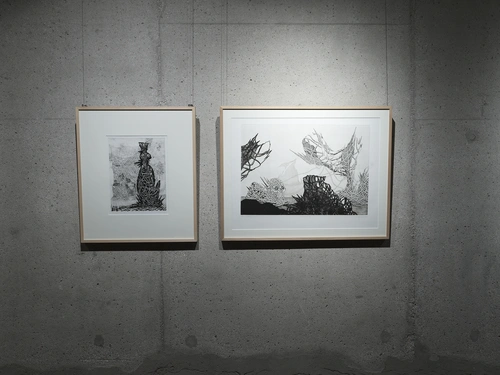 Sreda v sredo & friends. Installation view, “S” Gallery, Ljubljana Castle, Ljubljana, 2025. Photo: Jaka Babnik. MGLC Archive.