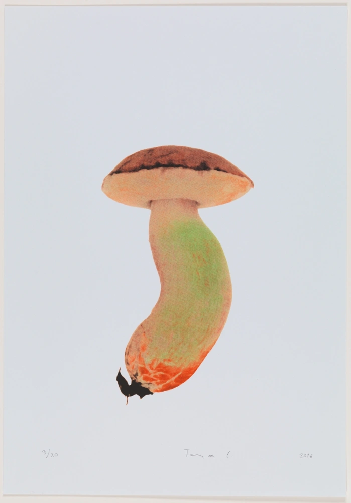 Gobice #2