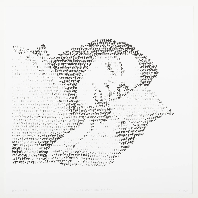 Sašo Vrabič, More, from the series New Plate, 2024.