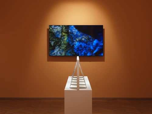 Tracy Naa Koshie Thompson, Svetovi znotraj svetov: Terra incognita. Postavitev razstave, Grad Tivoli, 2026.