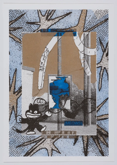 Meows, 2022, risoprint, 40 x 29 cm.