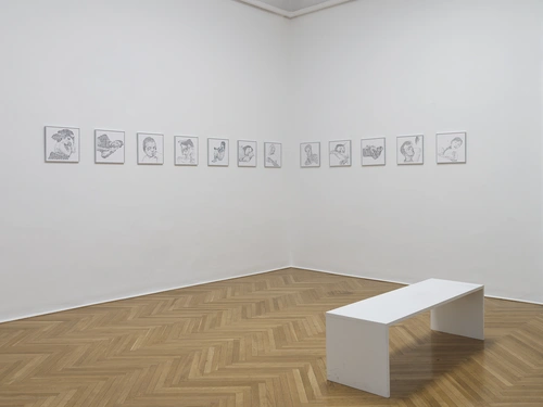 Sašo Vrabič, New Plate. Installation view, MGLC Grad Tivoli, 2026.