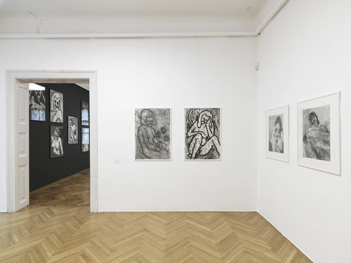 Sonja Vulpes, Limbo. Postavitev razstave, MGLC Grad Tivoli, 2021.