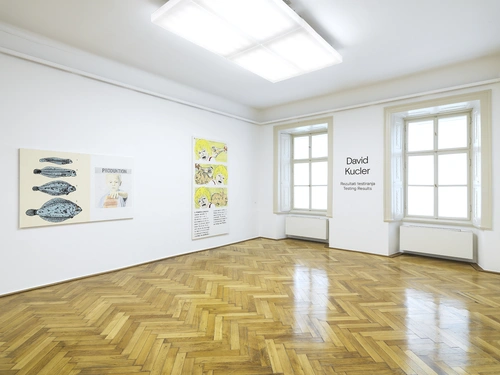 David Kucler, Testing Results. Installation view, MGLC Tivoli Mansion, Ljubljana, 2023.