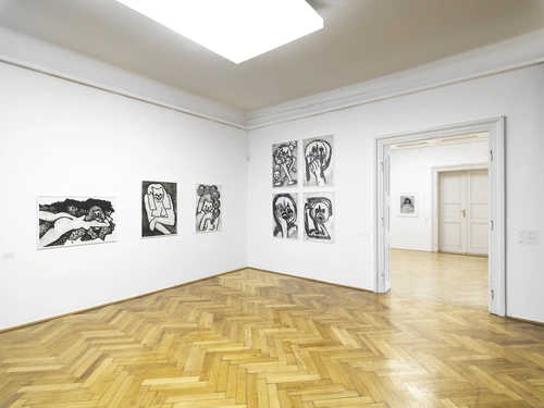 Sonja Vulpes, Limbo. Postavitev razstave, MGLC Grad Tivoli, 2021.