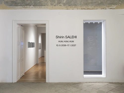 Shirin Salehi, HUM, HUM, HUM. Postavitev razstave, Grad Tivoli, 2026/27.