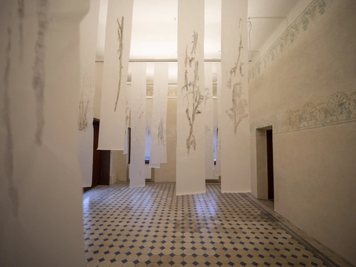 Olga Staňková, Fluid Nature – The Forest of Knowledge, (2023–2024), MGLC Švicarija.