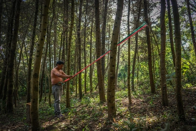 Antonio Pichillá, Popkovina, 2021. Fotografija iz videa.