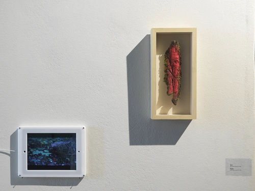 Danilo Milovanović, Direct Effects. Installation view, Švicarija, 2021.