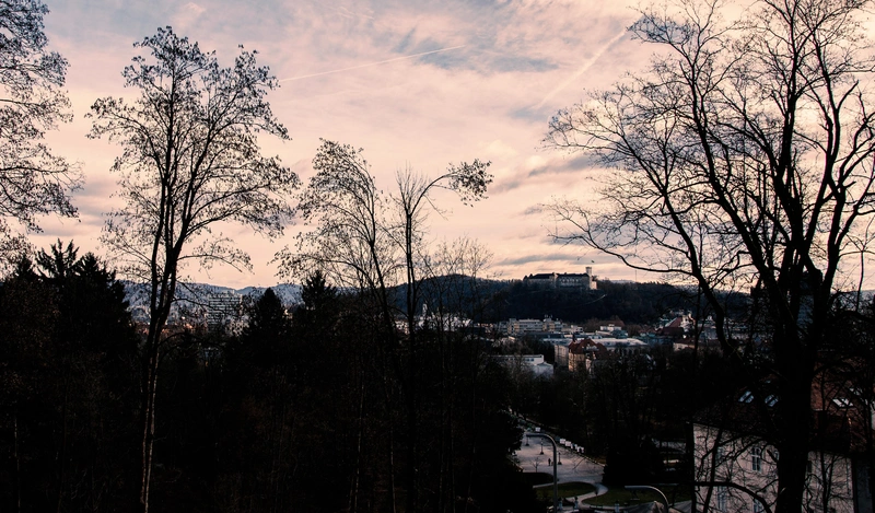 MGLC ŠVICARIJA: OPEN CALL FOR CRITIC-IN-RESIDENCE PROGRAMME 2026