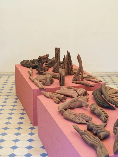 Dušan Gerlica, Unlocked Sequoia, 2013-2024, detail.