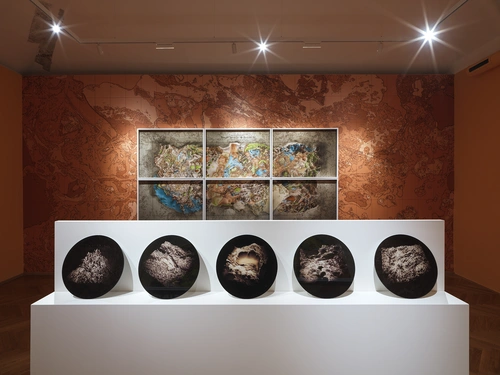 Tracy Naa Koshie Thompson, Svetovi znotraj svetov: Terra incognita. Postavitev razstave, Grad Tivoli, 2026.