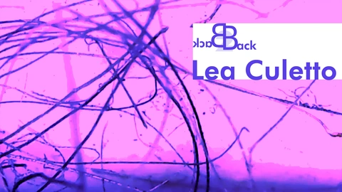 SAiR presents Lea Culetto and her curated video programme Bodyscapes