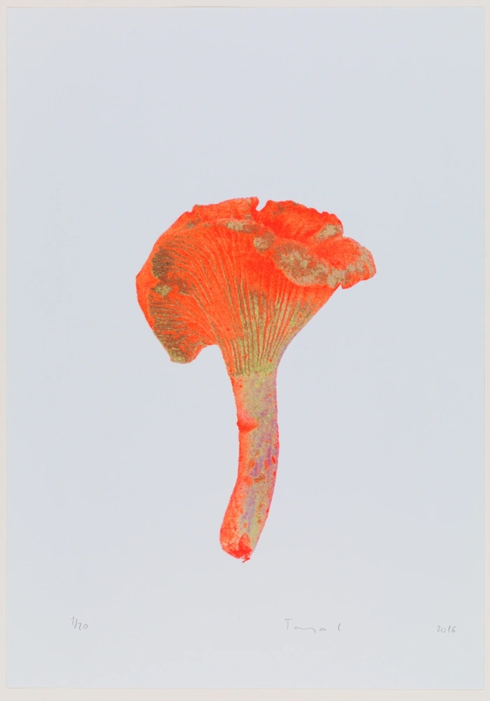 Gobice #4
