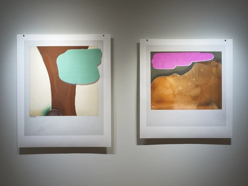 Luka Uršič, The Gift of Failure. Installation view, Grad Tivoli, 2026.
