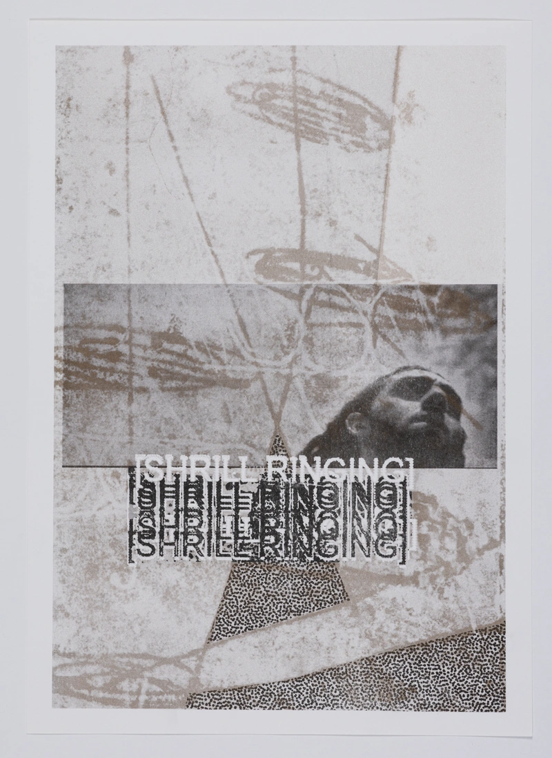 Shrill Ringing, 2022, risoprint, 40 x 29 cm.