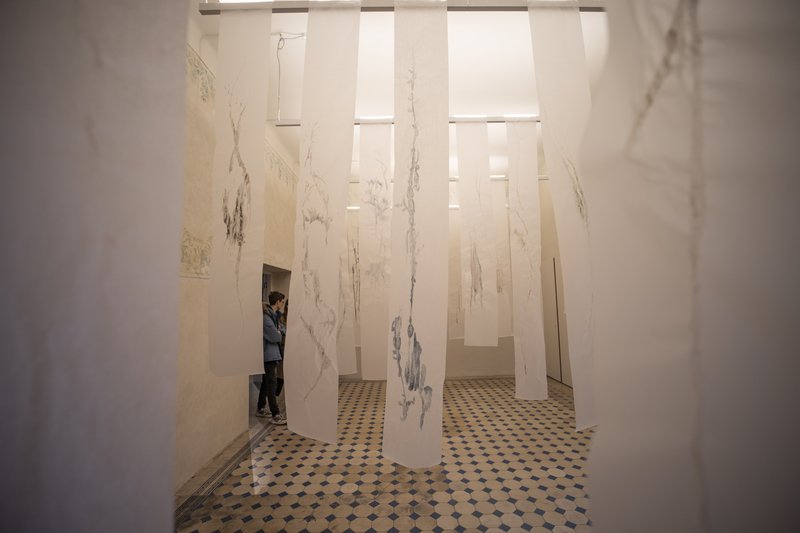 Fluid Nature_Forest of Knowledge